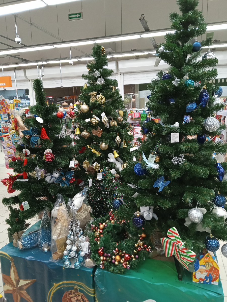 Все фото автора.