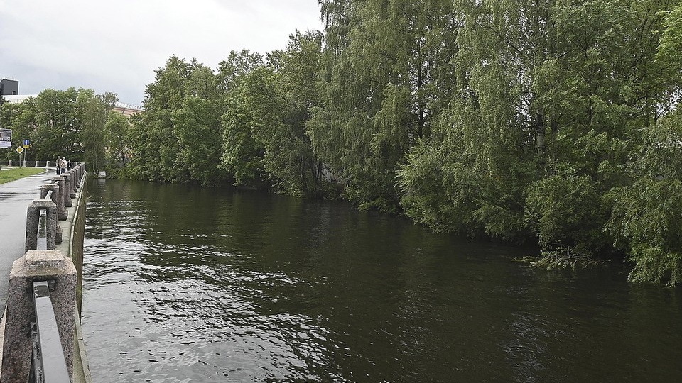 Уровень загрязнения в Охте оказался в 3,9 раза выше допустимой нормы