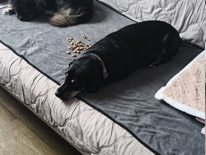 Хитрая дружба