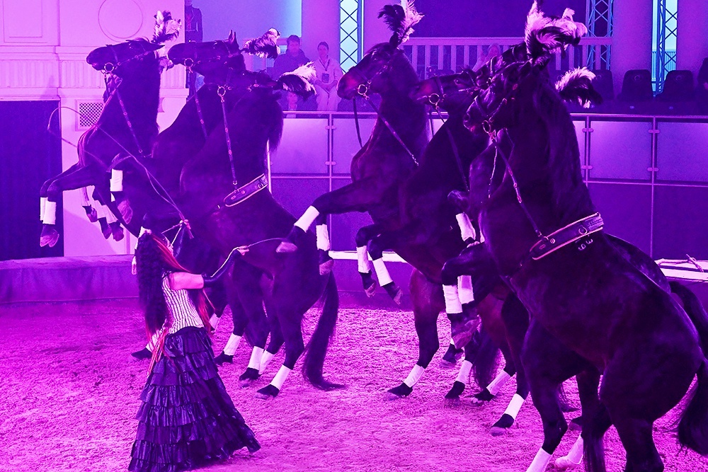    Владимир Вяткин/ РИА Новости