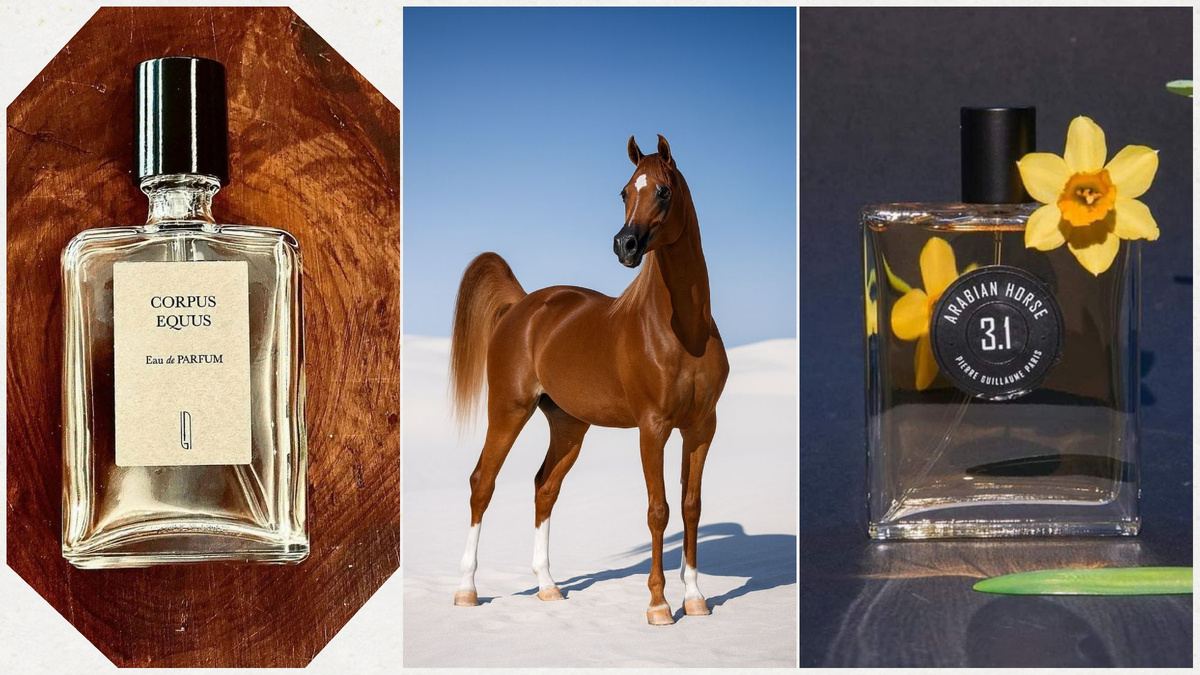 Слева: Naomi Goodsir, справа: Pierre Guillaume.