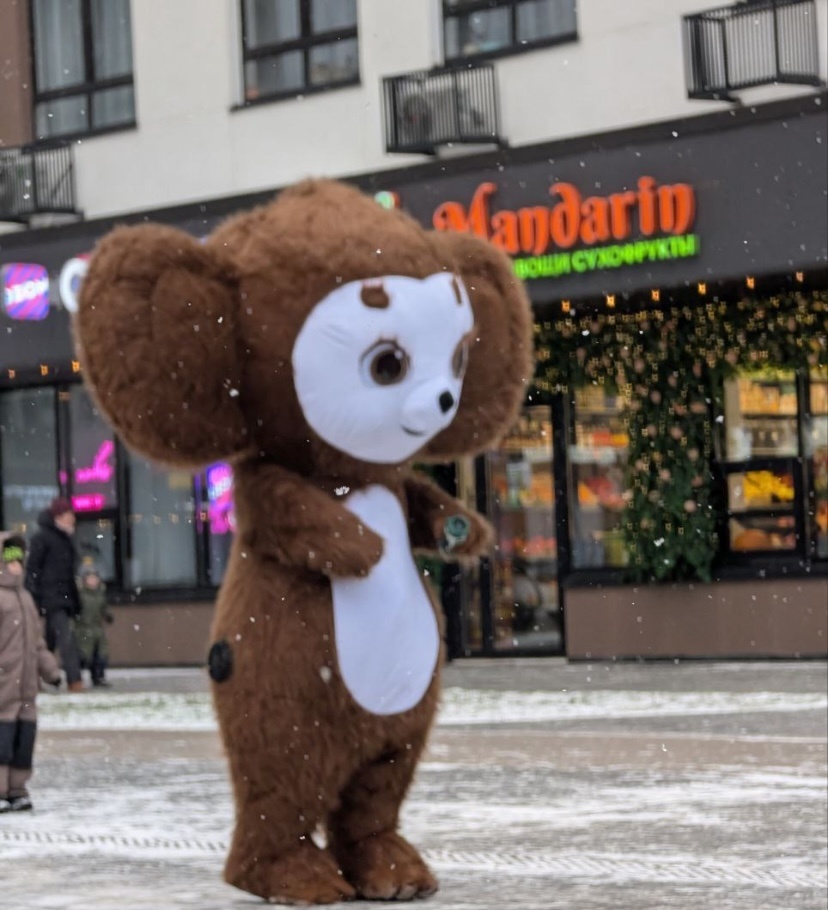 Фото: Чебурашка 