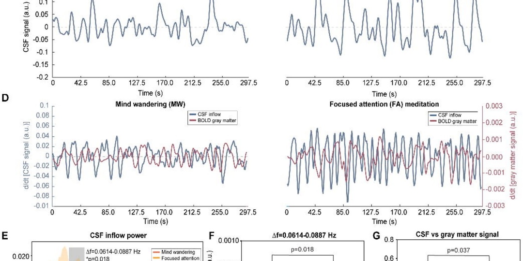 Физика просветления