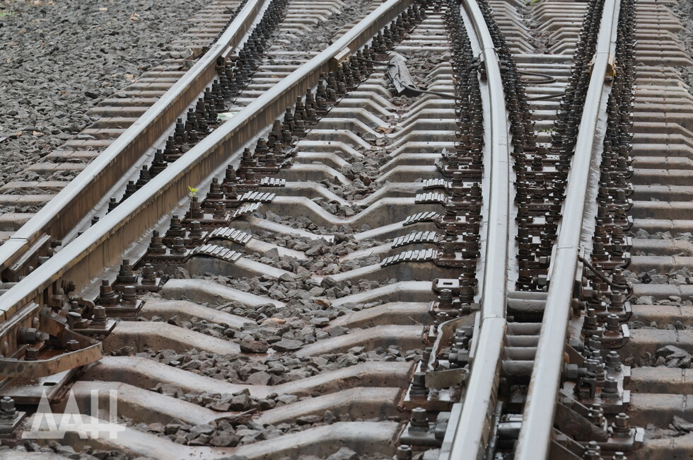 Фото: Донецкое агенство новостей