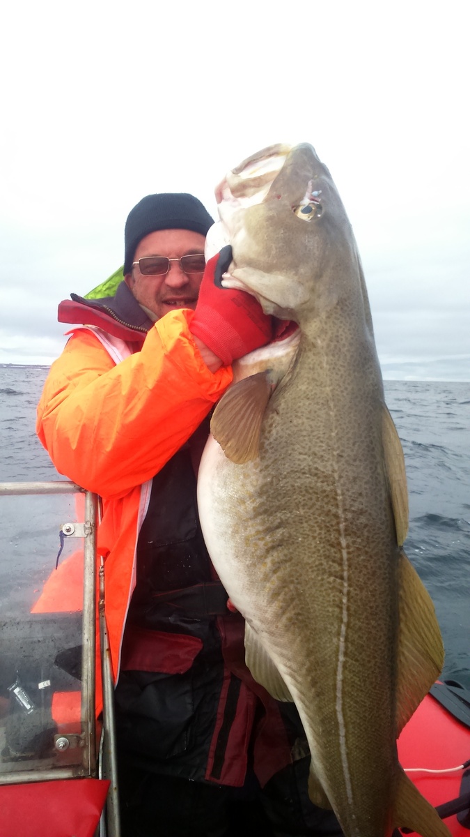 Трофейная тресочка!