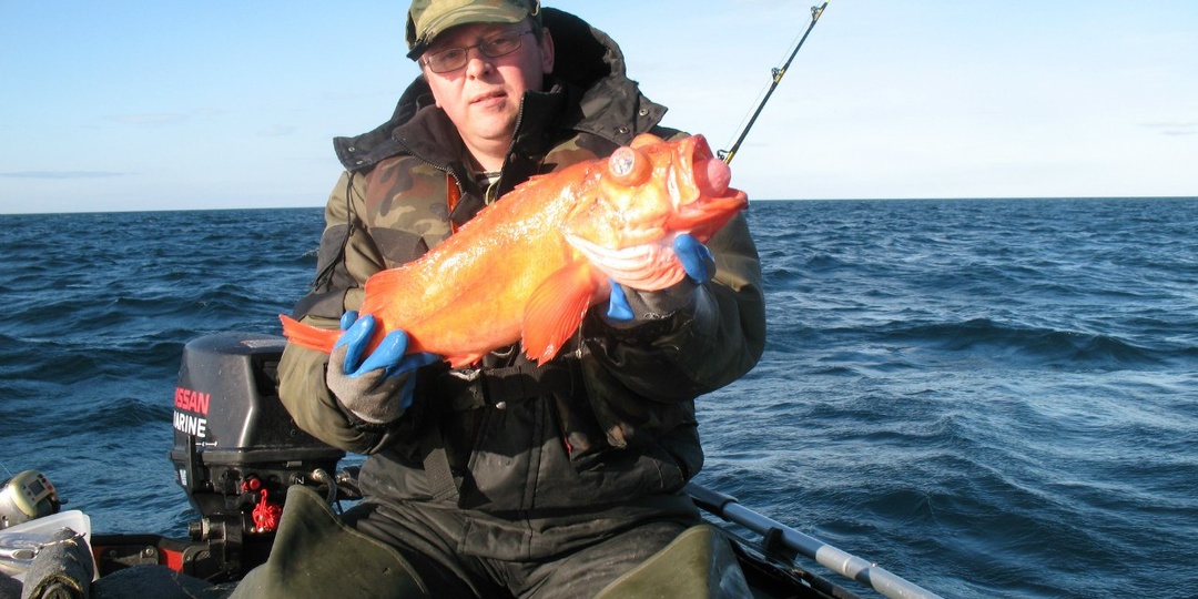 Кольский полуостров: где рыбу копают лопатой, а за палтусом спускаются в преисподнюю