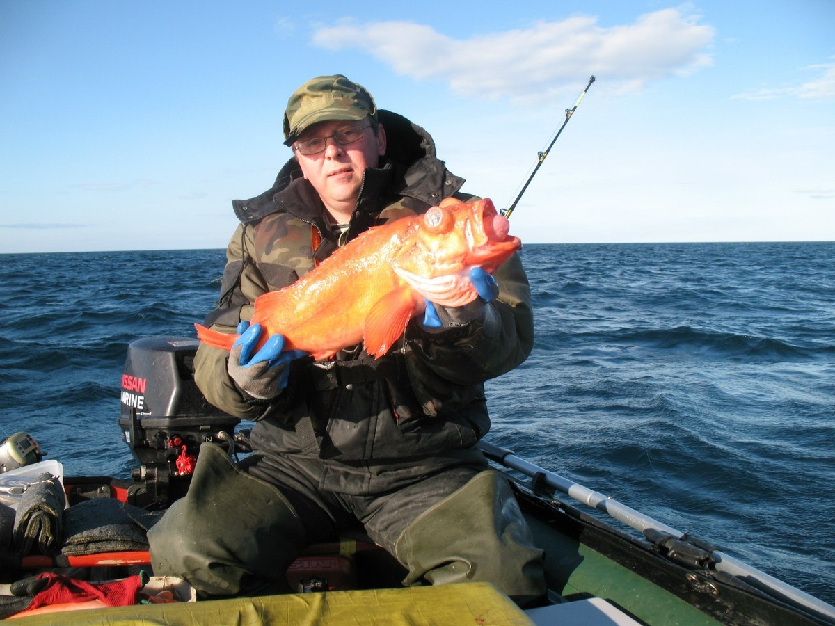 Достойный окунь. Гость не частый, потому желанный.