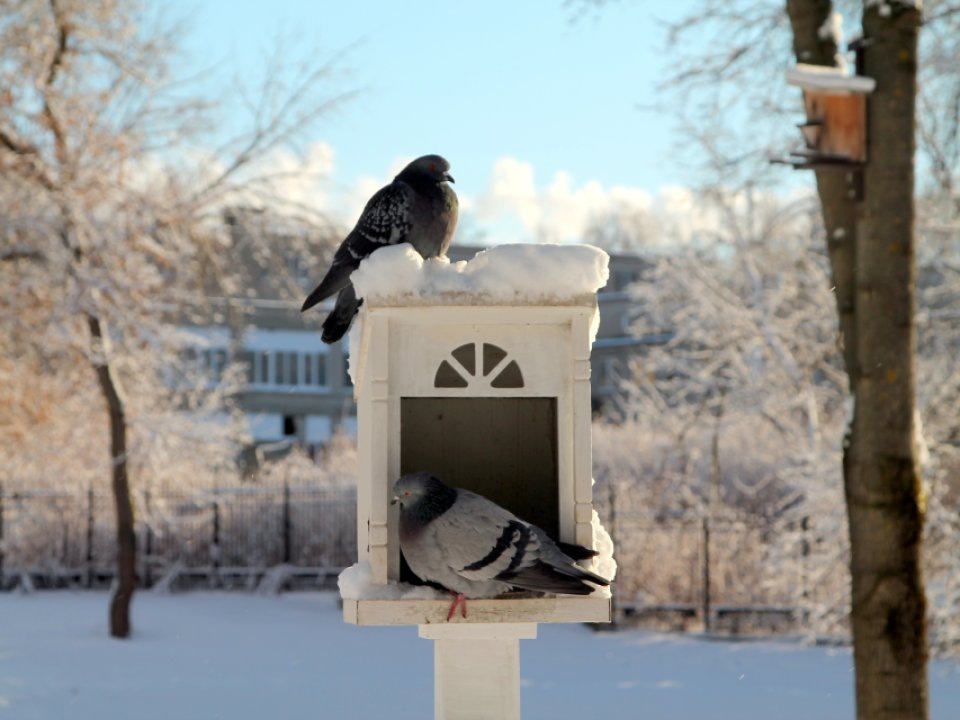    Фото: REGIONS/Наталья Дорофеева