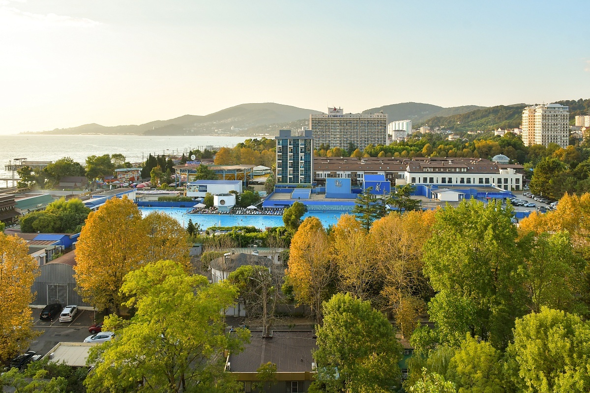 Фото: пресс-служба администрации города Сочи  📷
