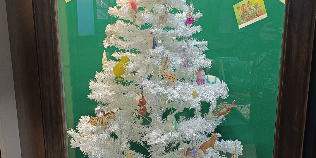 Дайте денег