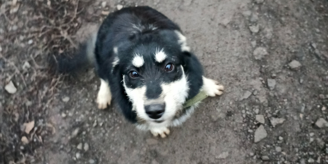 Немного про Марту и не только про неё.