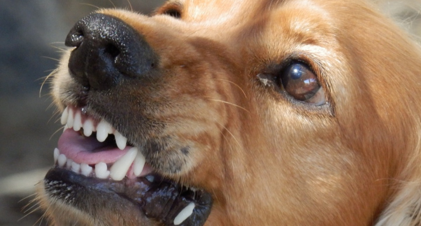    фото freepik.com