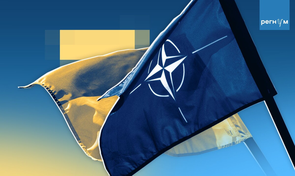    Украина, НАТО / Источник: © ИА Регнум