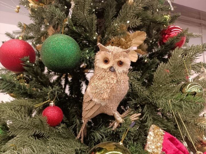    Фото:Екатерина Подпенко