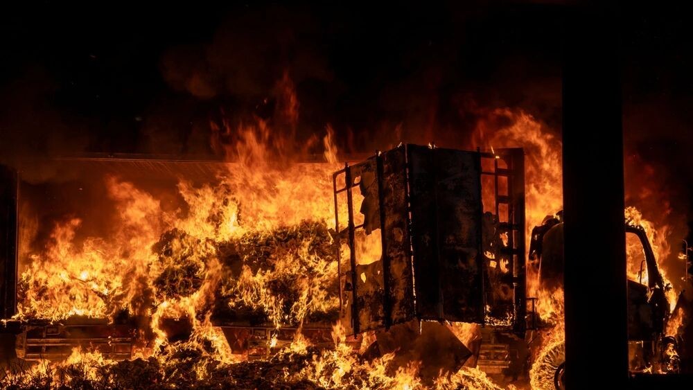    Фото: anut21ng Stock/Shutterstock/Fotodom