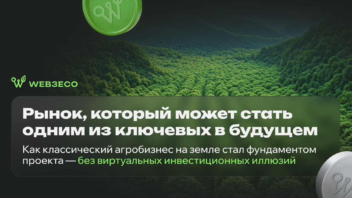 Рынок, который может стать одним из ключевых в будущем. Как классический агробизнес на земле стал фундаментом проекта — без виртуальных инвестиционных иллюзий