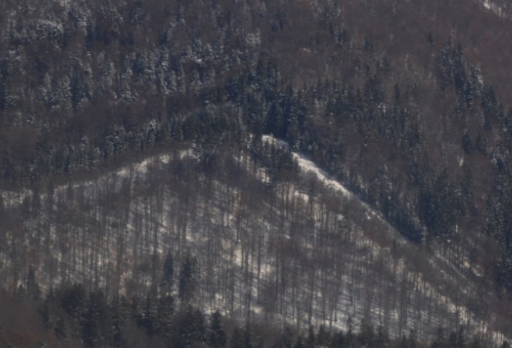 фото: pxhere.com