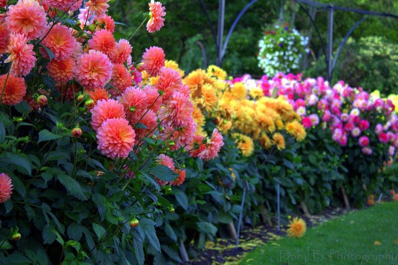 Результат летом