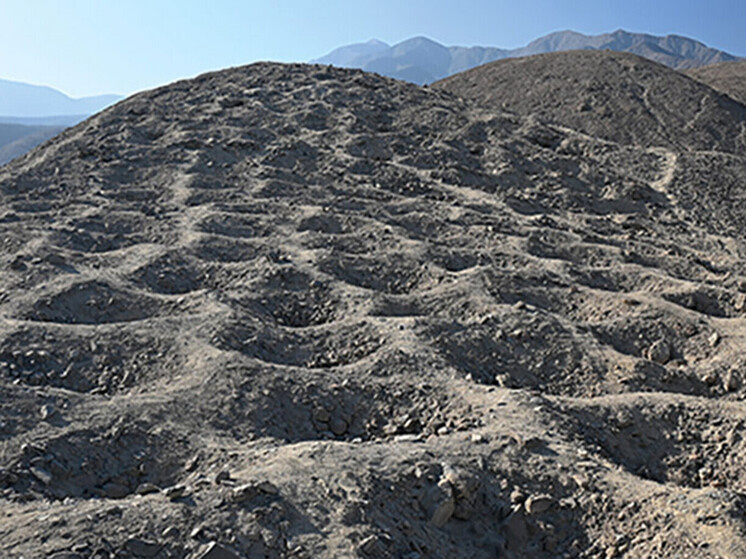     Фото: @Cambridge University Press on behalf of Antiquity Publications Ltd