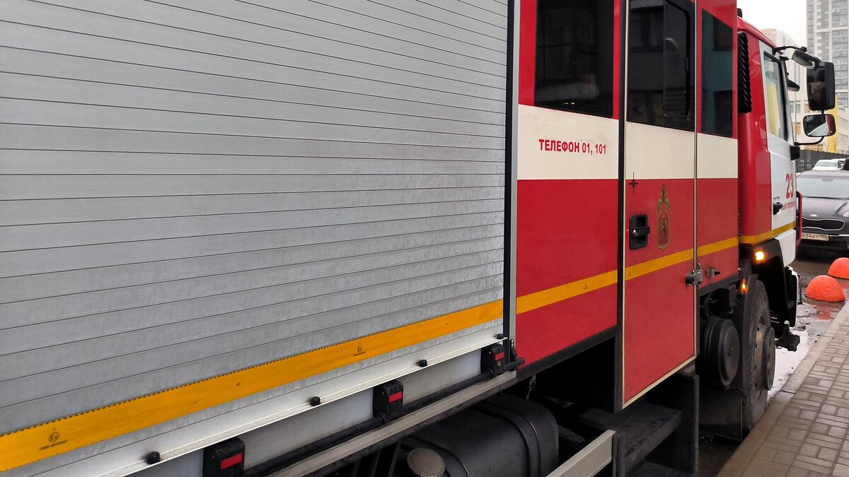    Фото: Maksim Konstantinov/globallookpress.com