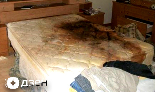 Канал "VIDOK" на Youtube/Rutube