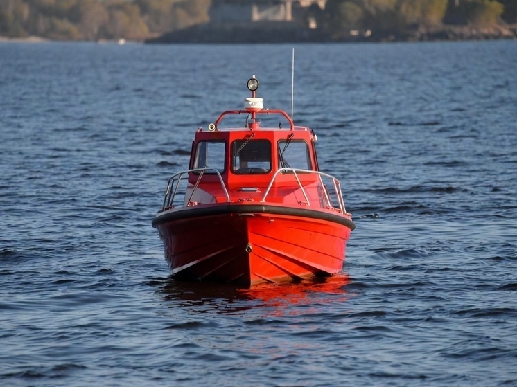     Фото: генерация Grok