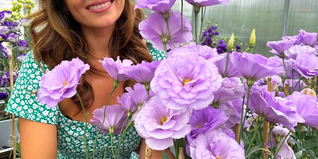 Посев эустомы на рассаду