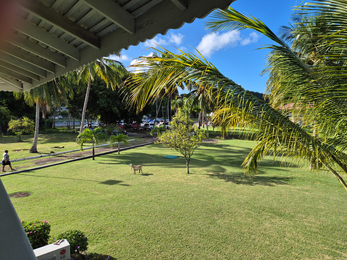 Вид с лоджии: такая пасторальная картинка. Отель Рэдиссон,  о.Гренада 