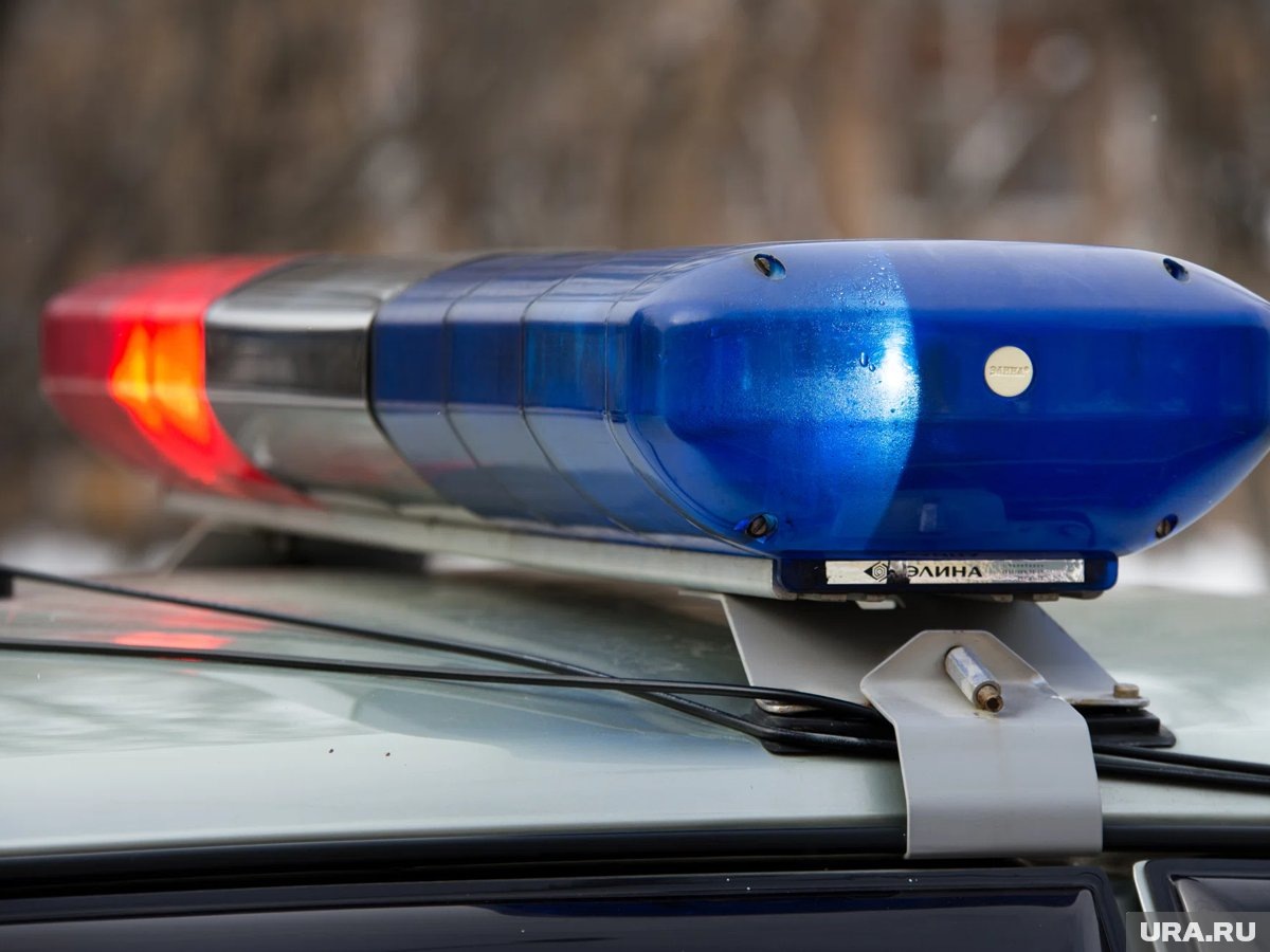     По предварительной информации, из-за взрыва могли пострадать полицейские