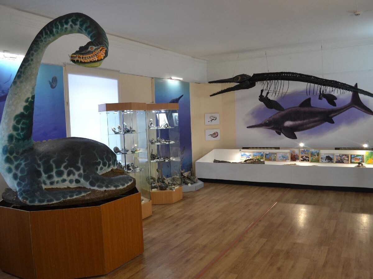    Зал палеонтологии | © Ундоровский палеонтологический музей