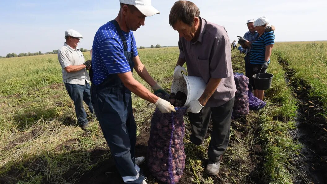    Архив Царьграда