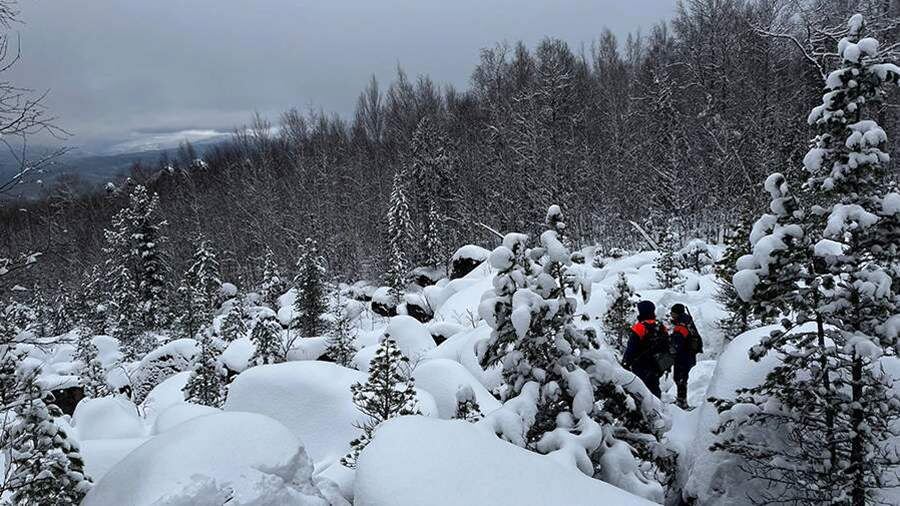    Фото: vk.com/поисковый отряд «ЛизаАлерт» Красноярского края