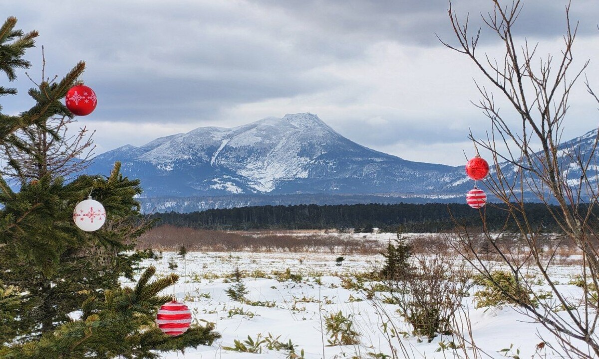 Вулкан Менделеева. Вид с экотропы "Болотный сад" (остров Кунашир). 