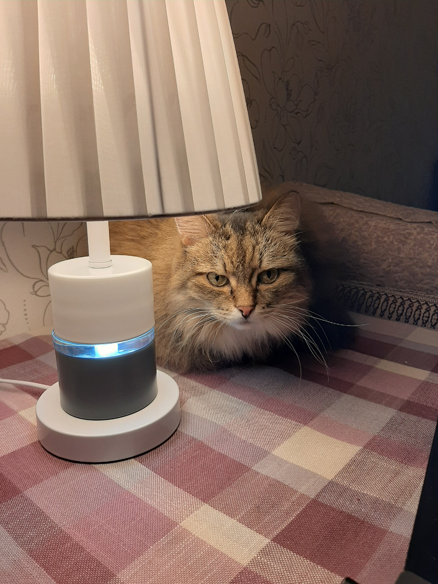 Фото автора