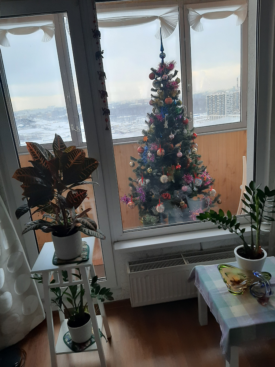 Фото автора. Вчерашний снимок