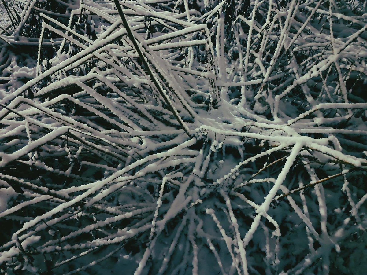 Синоптики рассказали, какие сюрпризы готовит погода в Приморье на последние выходные года.  Фото: Фото: ФедералПресс / Вера Романескул