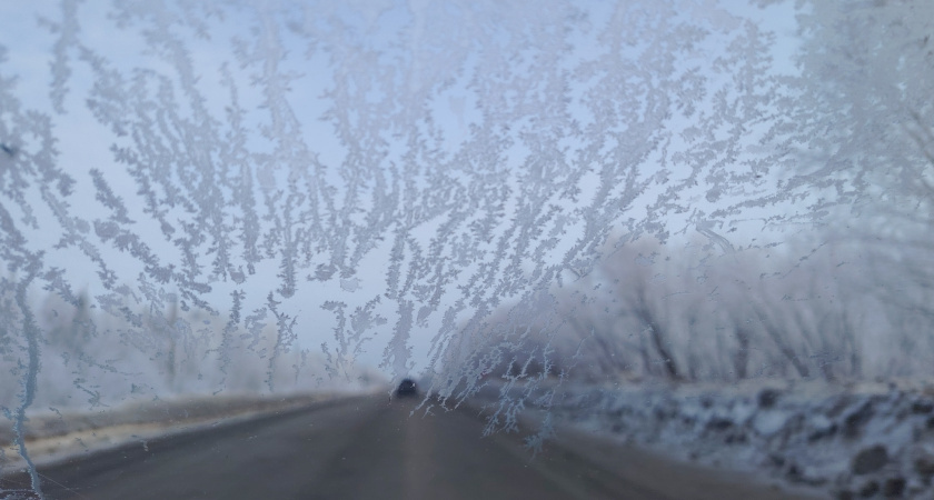 Зима обрушится резко и без жалости: Вильфанд объяснил, когда закончится тёплый период