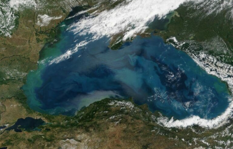 Загадка Черного моря: почему на его дне очень прозрачная вода