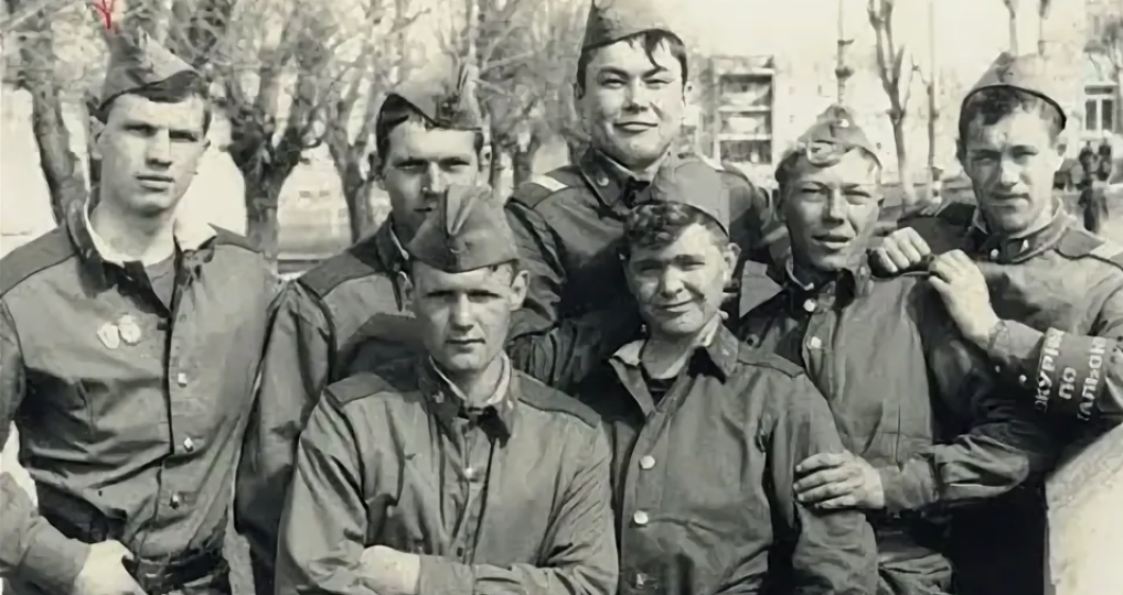 Вшивник, что это?