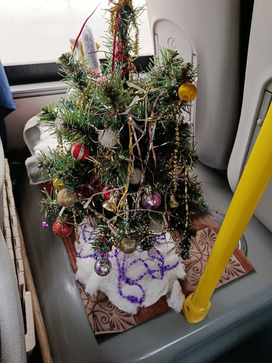 Фото: Омск с огоньком