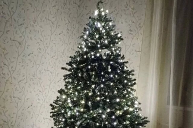    Фото: Московский комсомолец в Томске