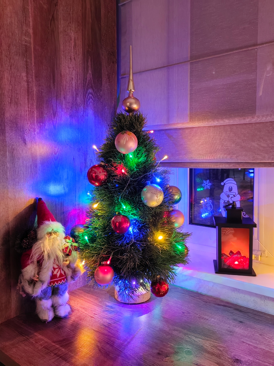 Моя прошлогодняя ёлко-сосна.