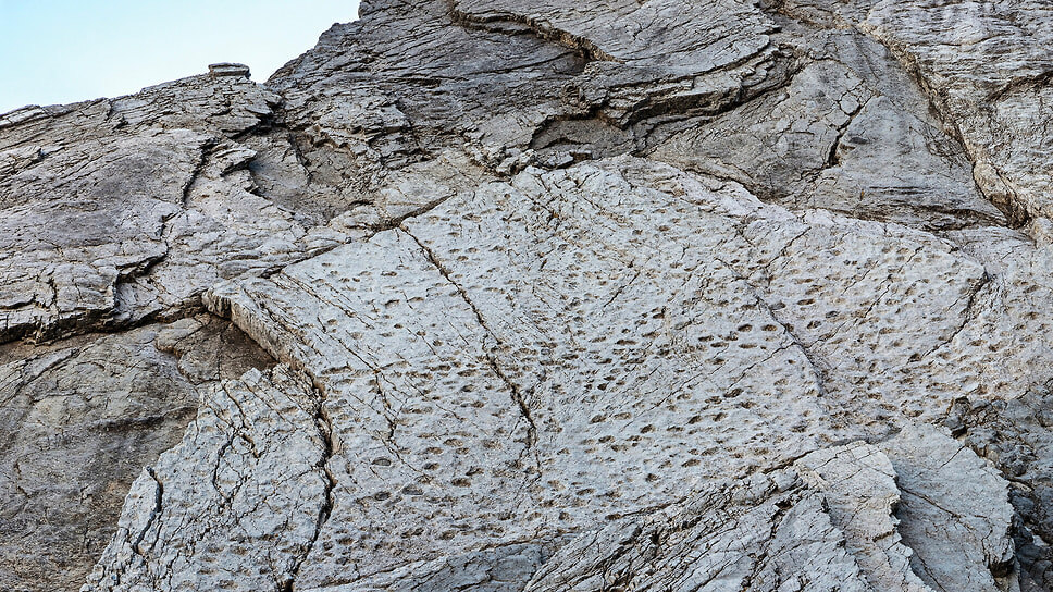 Следы прозавроподов, относящиеся к позднему триасу, обнаруженные в долине Фраеле национального парка Стельвио .📷Фото: Elio Della Ferrera / Stelvio National Park / AP