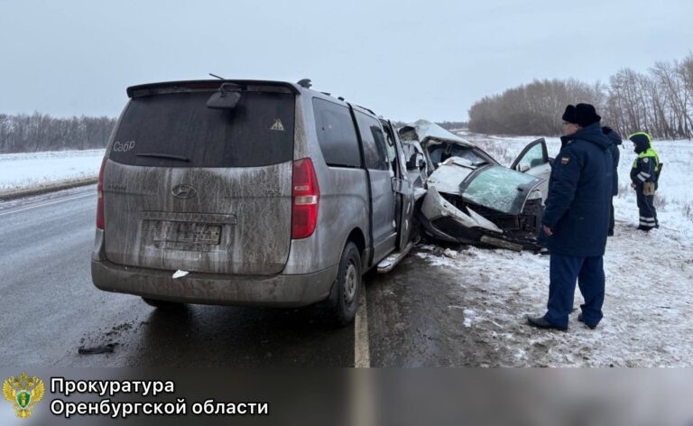    По факту смертельного ДТП под Сорочинском возбудили уголовное дело Оренбуржье