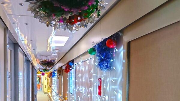    © Пресс-служба компании-перевозчика "Гранд Сервис Экспресс"