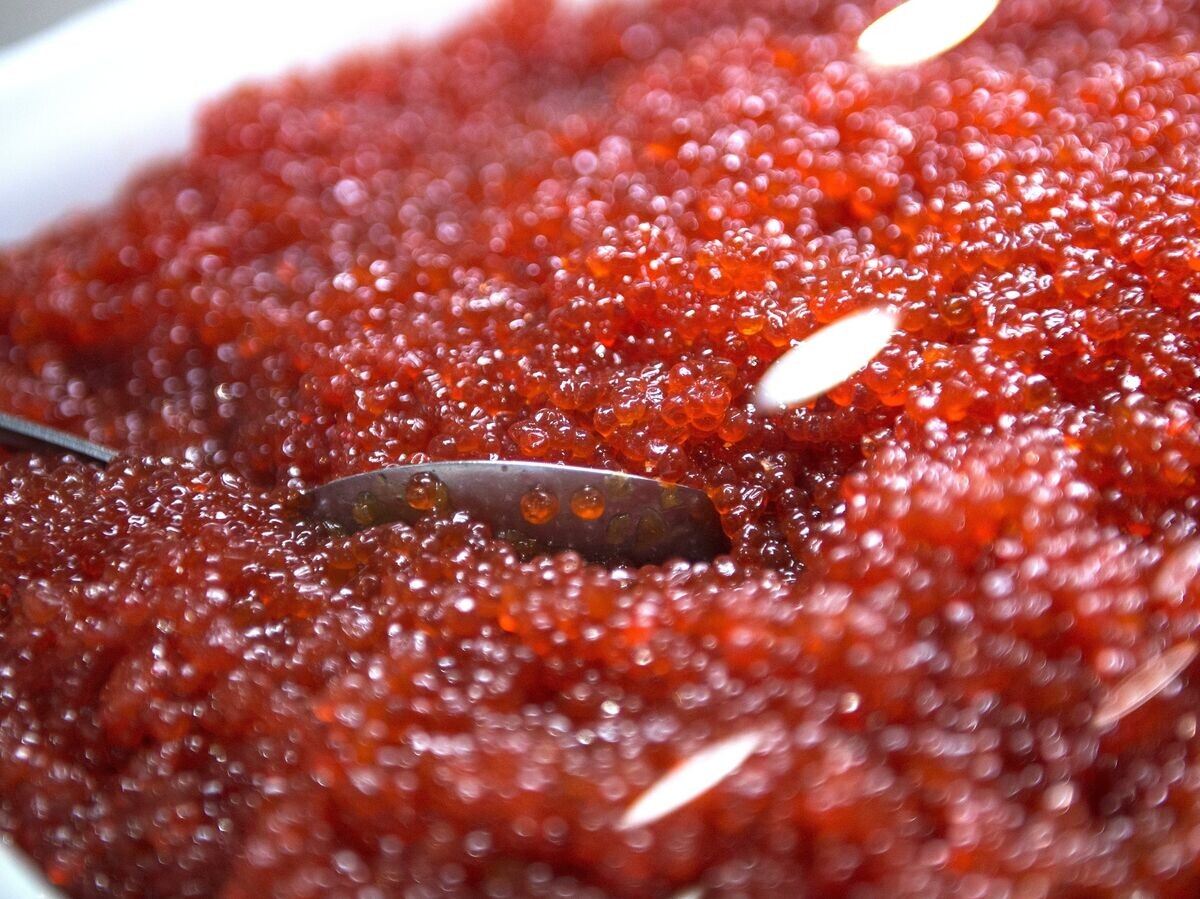    Красная икра | © РИА Новости / Евгений Биятов