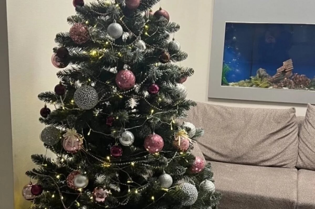    Новосибирцам напомнили о правилах безопасности при украшении ёлки