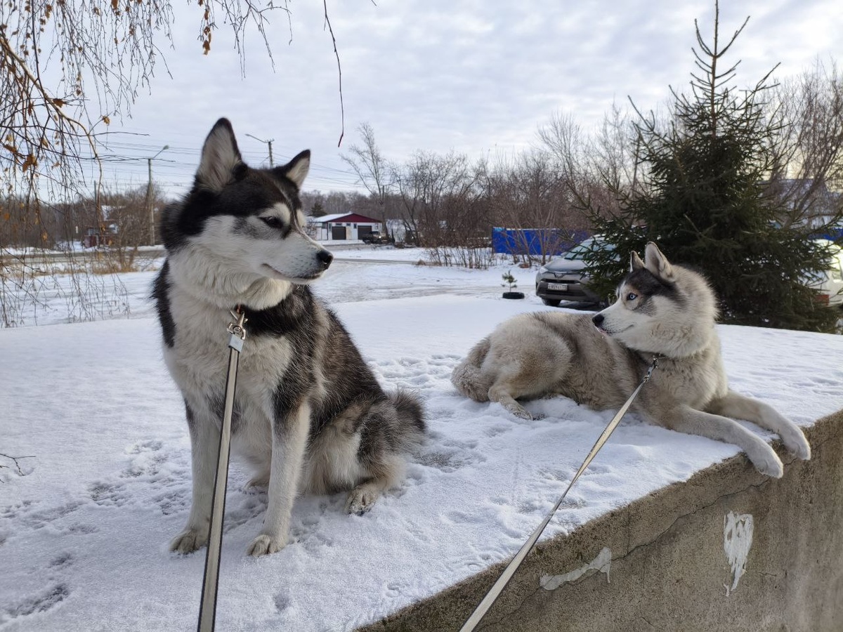 Гестия спешит поделиться новостями из своей новой, потрясающей жизни
