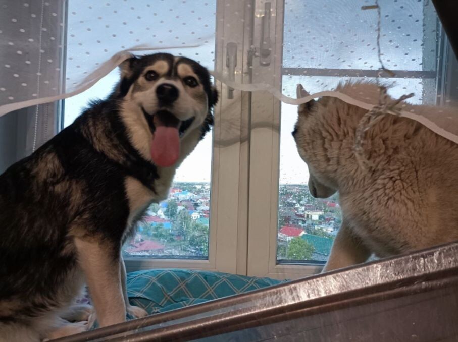 Любовь и воспитание творят чудеса!