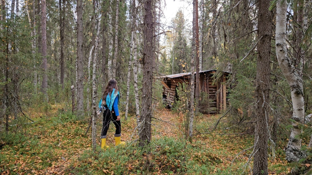 Изба Глухариная.